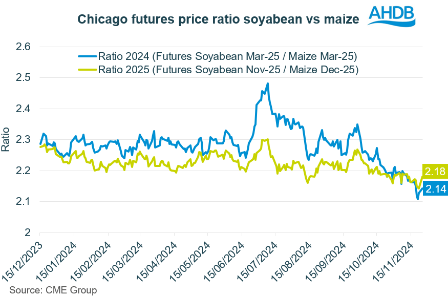 Chart 1 Ratio soyabean vs maize 26 11 2024 